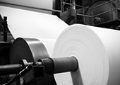 Pulp & Paper